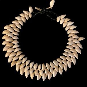 Necklace … beautiful shells